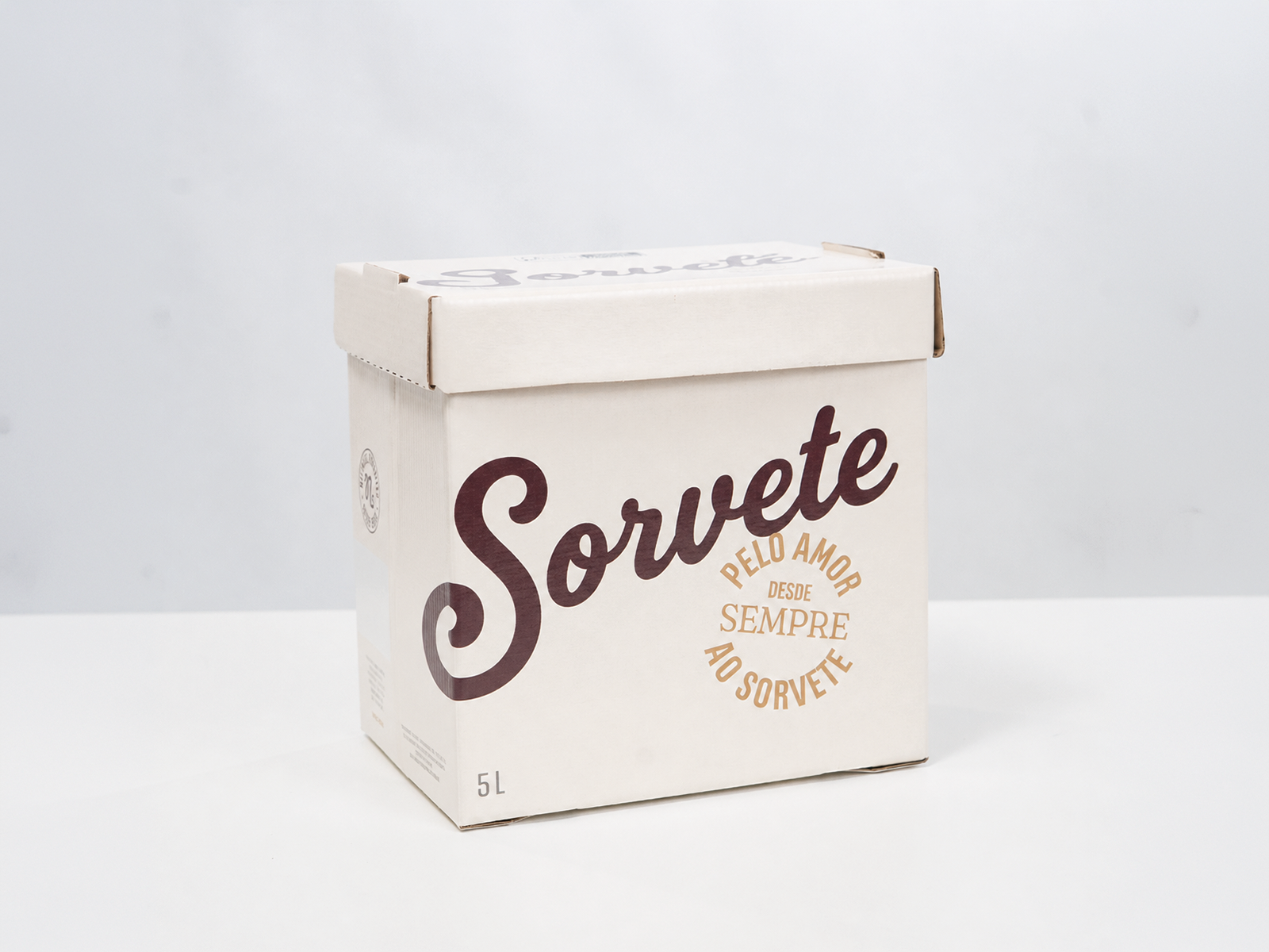 Caixa de Sorvete 4